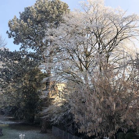 Le Jardin De Fresnes Bed & Breakfast Dış mekan fotoğraf